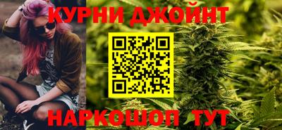 мяу мяу мука Гай