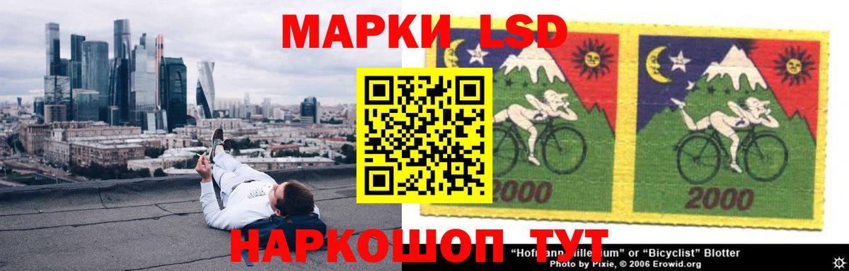 МЕФ Губкин