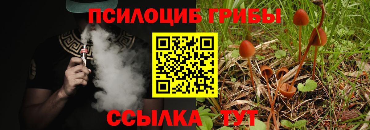 Псилоцибиновые грибы Magic Shrooms  Вход с VPN  Псилоцибиновые грибы Magic Shrooms  Губкин 
